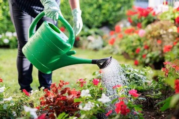 Gardening